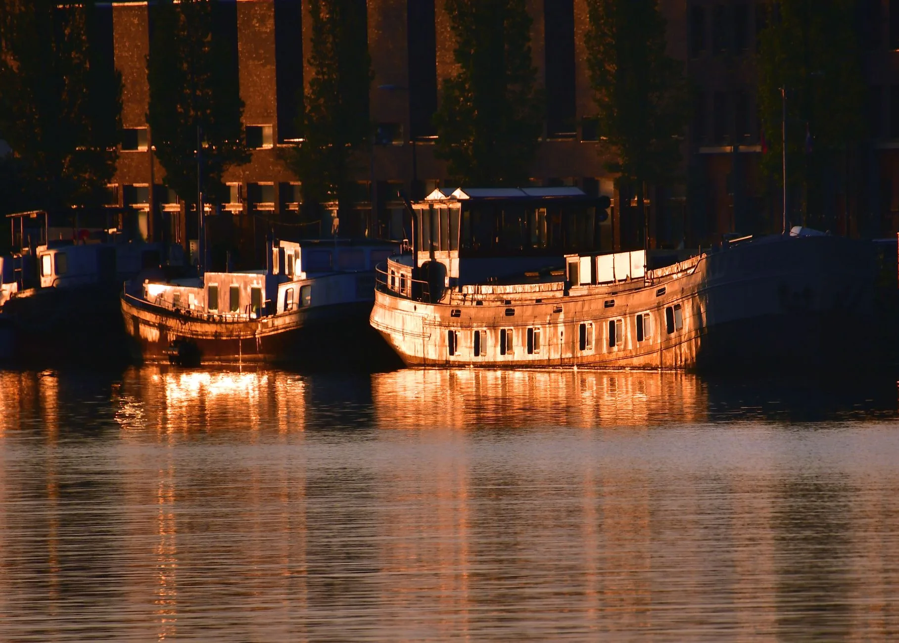 Reflejo de los yates en el agua tranquila de la marina al amanecer.