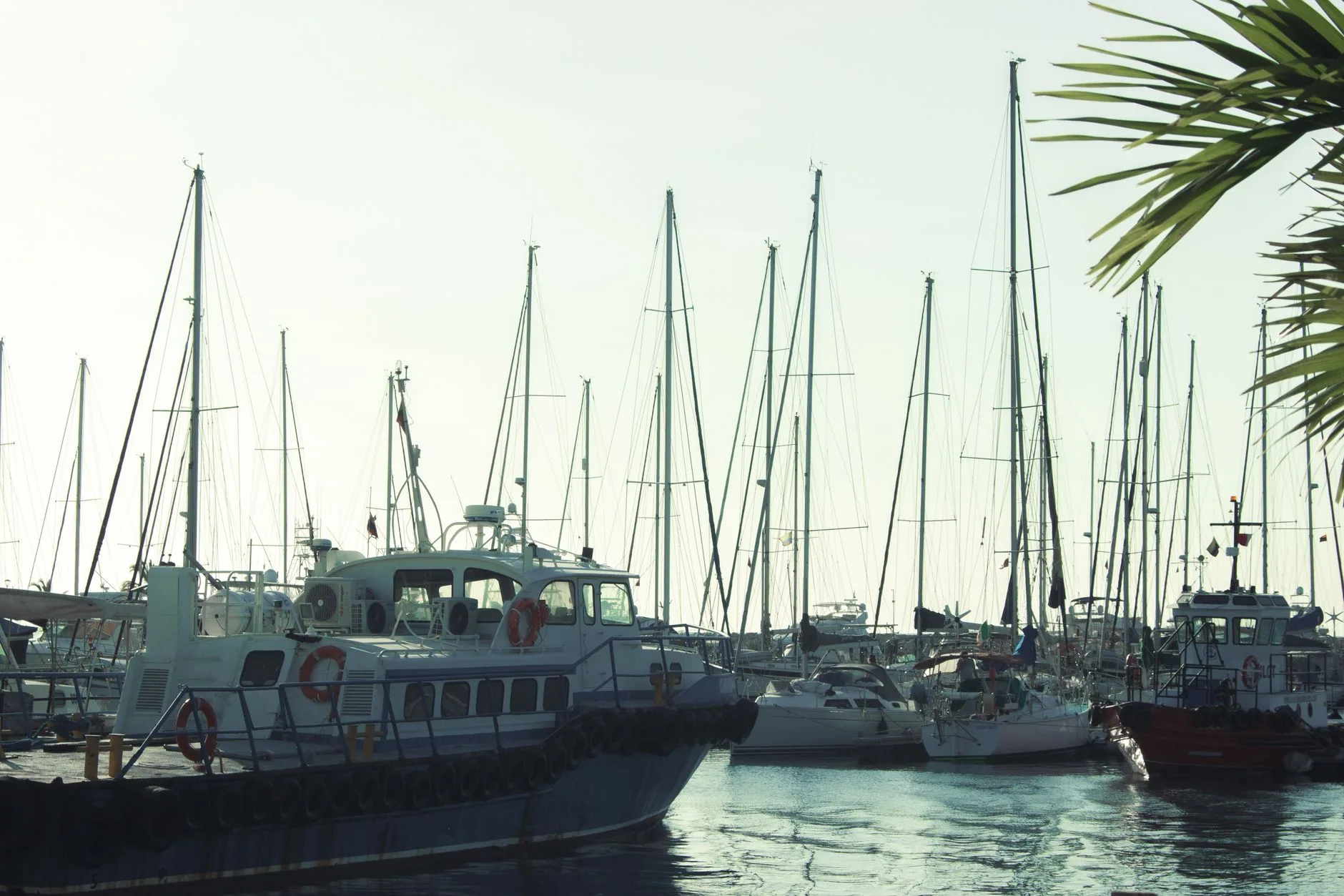 Yates amarrados en una marina al amanecer, cerca del casco antiguo.